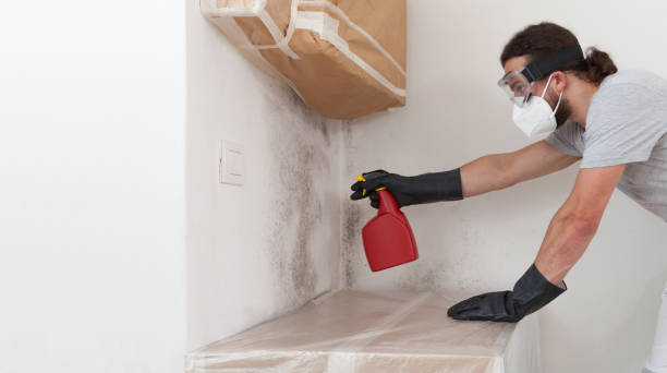 Professional Mold Remediation technician working in White Stone, VA